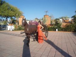 Photo 21104 Beautiful Women from Culiacan Sinaloa Mexico 